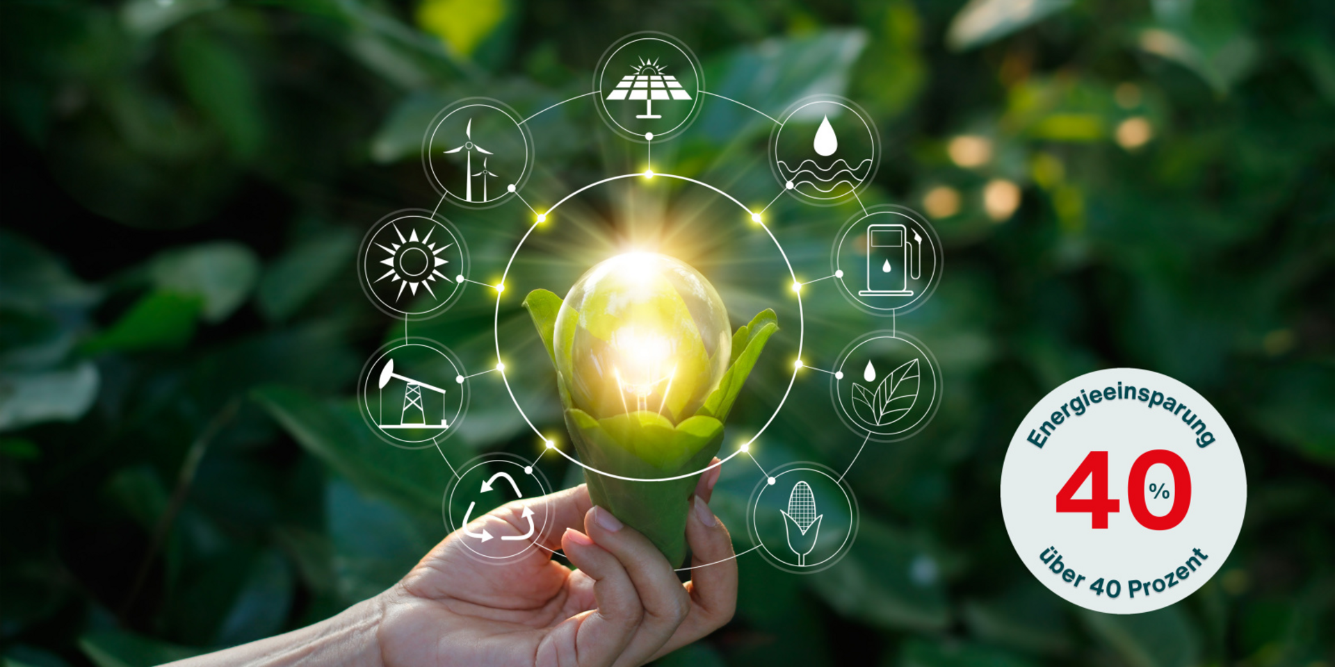 Hand holding light bulb against nature on green leaf with icons energy sources for renewable, sustainable development. Ecology concept. Elements of this image furnished by NASA.